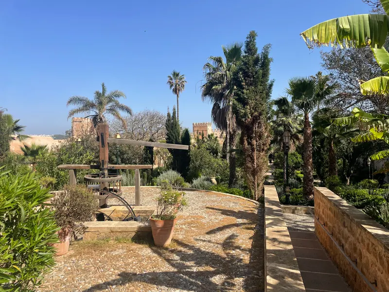Palm trees and paths in the Andalusian Gardens